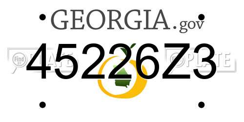 45226Z3 Georgia License Plate