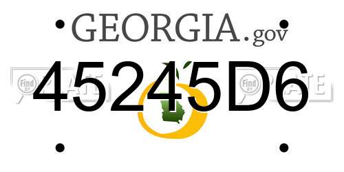 45245D6 Georgia License Plate