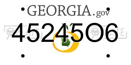 45245O6 Georgia License Plate