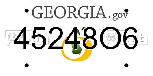 45248O6 Georgia License Plate