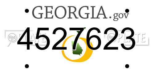 4527623 Georgia License Plate