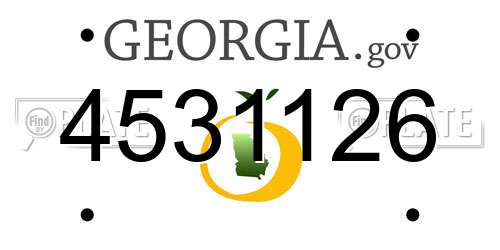 4531126 Georgia License Plate