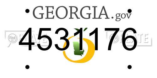4531176 Georgia License Plate