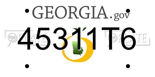 45311T6 Georgia License Plate