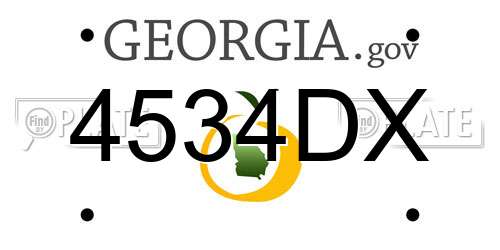 4534DX Georgia License Plate