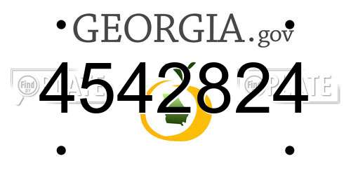4542824 Georgia License Plate