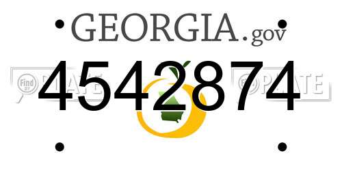 4542874 Georgia License Plate