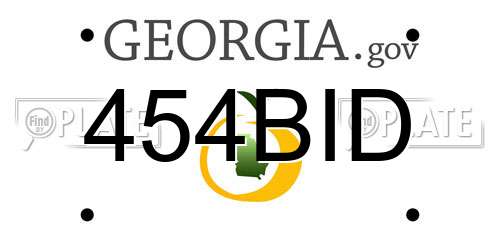 454BID Georgia License Plate
