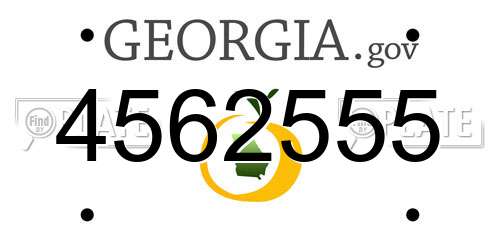 4562555 Georgia License Plate