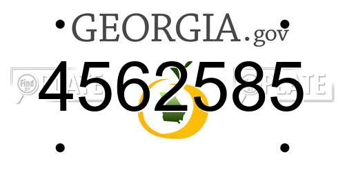 4562585 Georgia License Plate