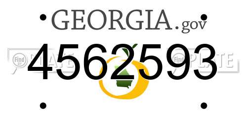 4562593 Georgia License Plate