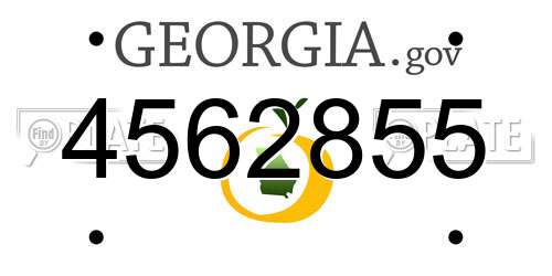 4562855 Georgia License Plate