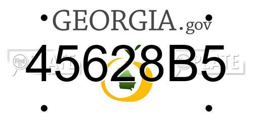 45628B5 Georgia License Plate