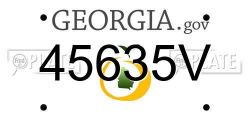 45635V Georgia License Plate