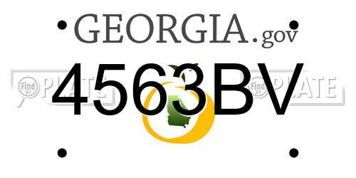 4563BV Georgia License Plate
