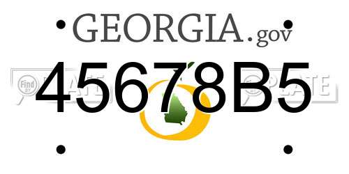 45678B5 Georgia License Plate