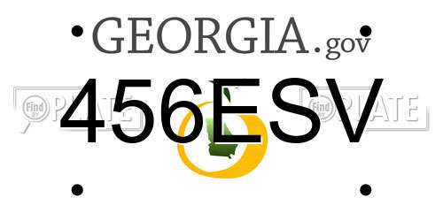 456ESV Georgia License Plate
