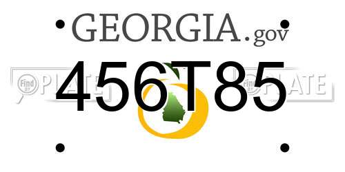 456T85 Georgia License Plate