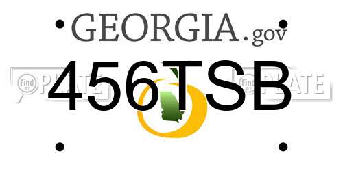 456TSB Georgia License Plate