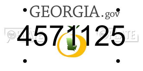 4571125 Georgia License Plate