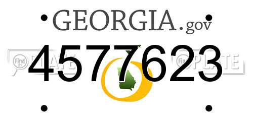 4577623 Georgia License Plate