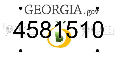 4581510 Georgia License Plate