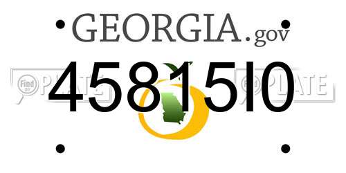 45815I0 Georgia License Plate