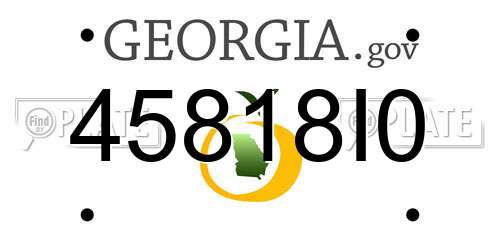 45818I0 Georgia License Plate