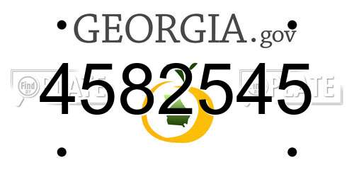 4582545 Georgia License Plate