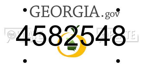 4582548 Georgia License Plate