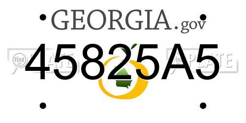 45825A5 Georgia License Plate
