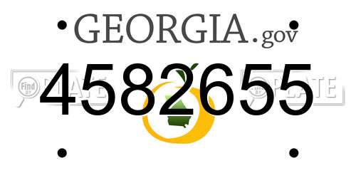 4582655 Georgia License Plate