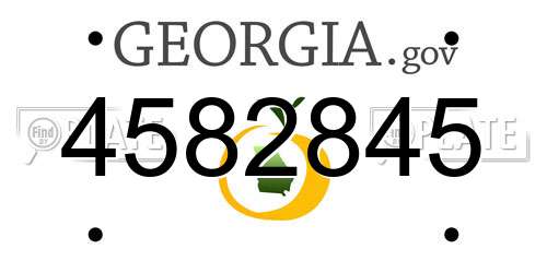 4582845 Georgia License Plate
