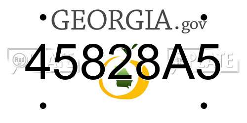 45828A5 Georgia License Plate