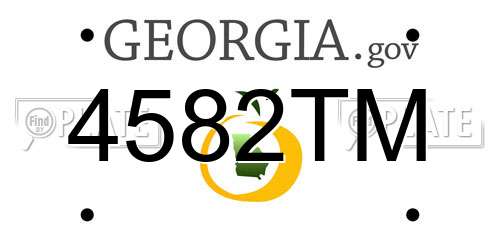 4582TM Georgia License Plate