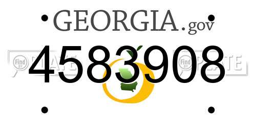 4583908 Georgia License Plate