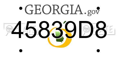 45839D8 Georgia License Plate