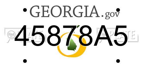 45878A5 Georgia License Plate
