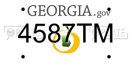 4587TM Georgia License Plate