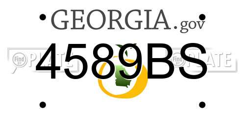 4589BS Georgia License Plate