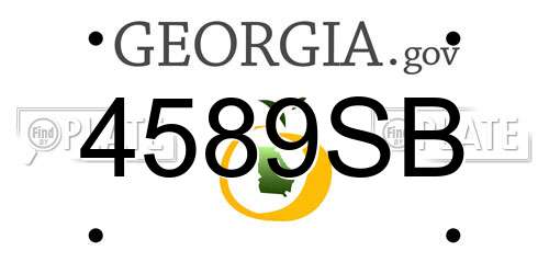 4589SB Georgia License Plate