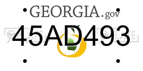 45AD493 Georgia License Plate