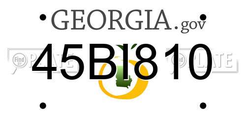 45BI810 Georgia License Plate