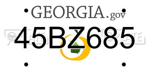 45BZ685 Georgia License Plate