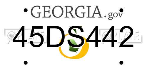 45DS442 Georgia License Plate