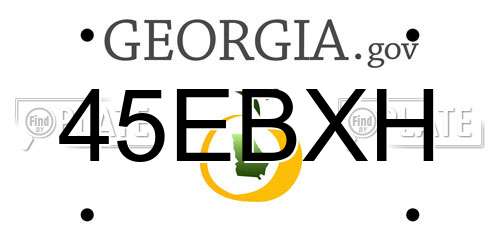 45EBXH Georgia License Plate