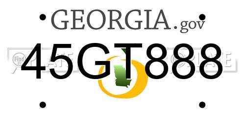 45GT888 Georgia License Plate