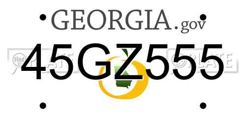 45GZ555 Georgia License Plate
