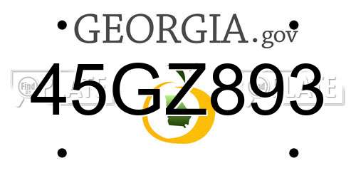 45GZ893 Georgia License Plate