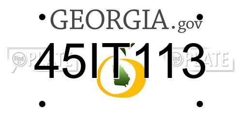 45IT113 Georgia License Plate